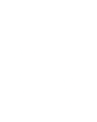 EIMI